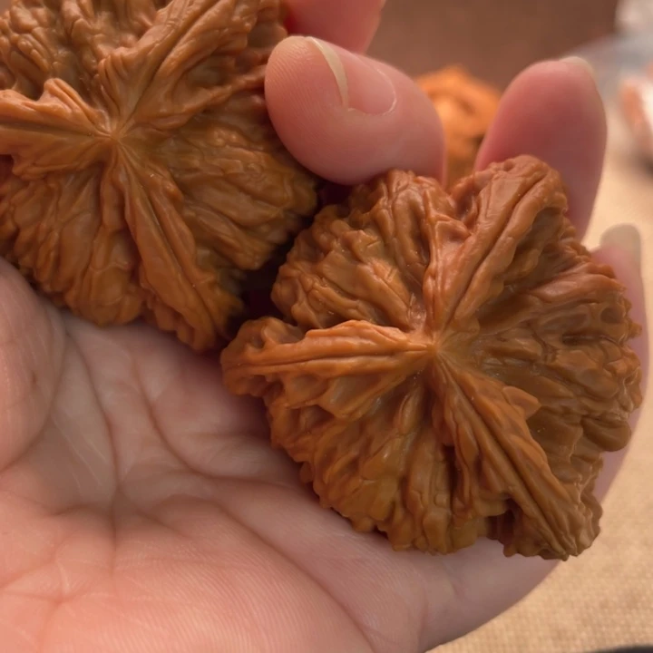 李****核桃白狮子45核桃