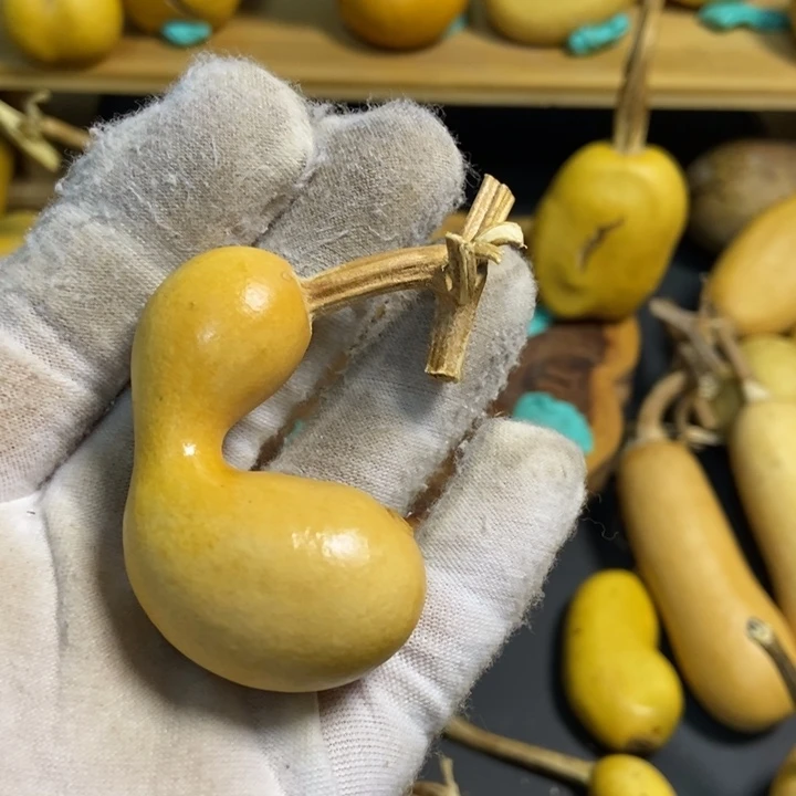 熠*周葫芦葫芦真的