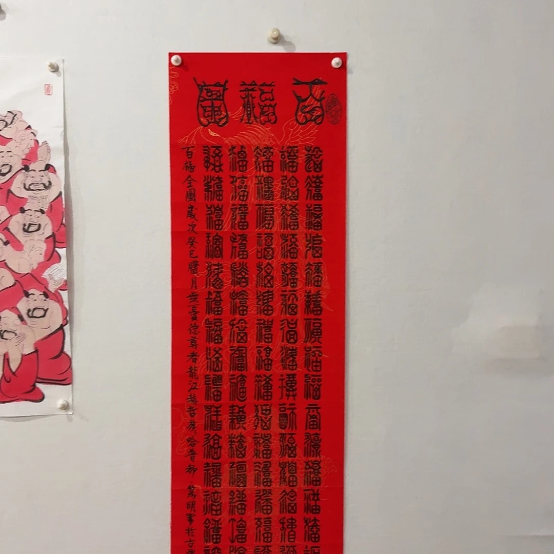 国画赵隽明，带合影视频