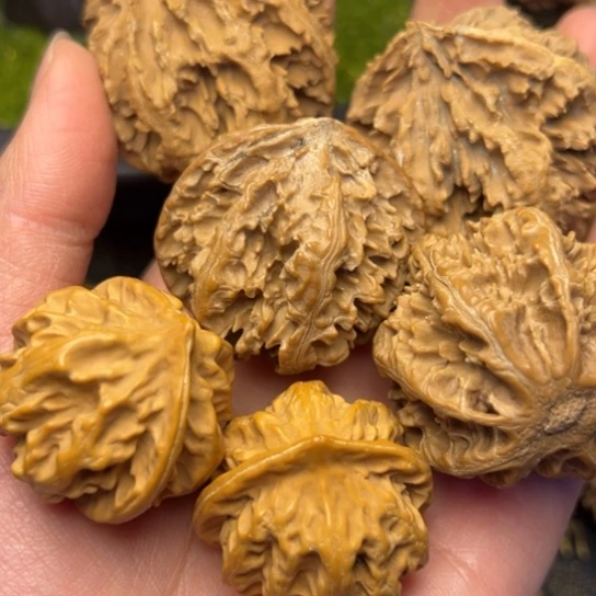 文玩核桃把件老*子秦岭核桃25