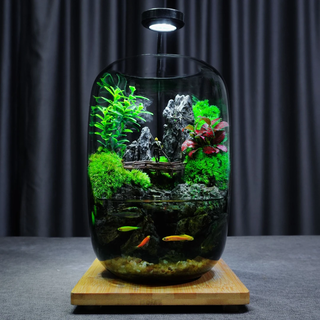 新款【万重山—水景】桌面绿植山水景观苔藓微景观可养鱼办公室摆件