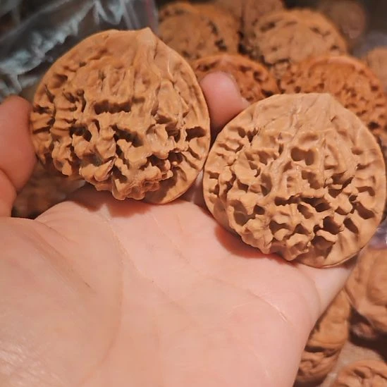 *****文玩核桃吊坠50帝王