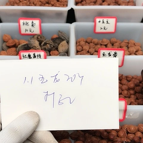 桃核吊坠空**手龙纹桃核的搭配