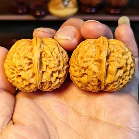 文玩核桃把件粗筋矮桩大肚罗汉头元宝福利款（1）