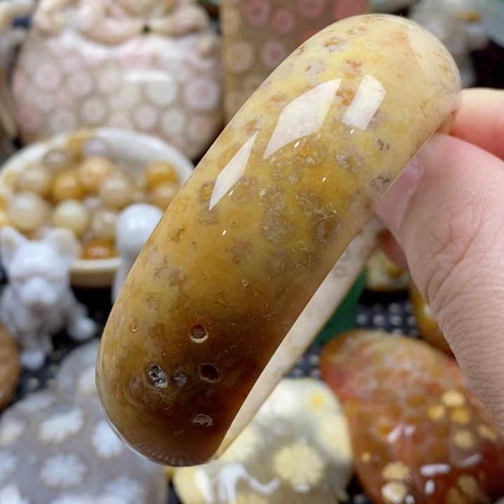 硅化珊瑚（珊瑚玉）颈饰未镶嵌56