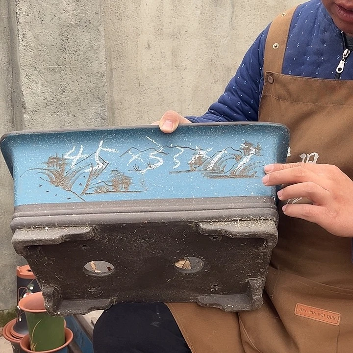 紫砂紫砂花盆盆栽