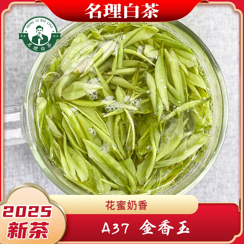 名理白A37金香玉2025新茶安吉原产地白茶明前特级试喝