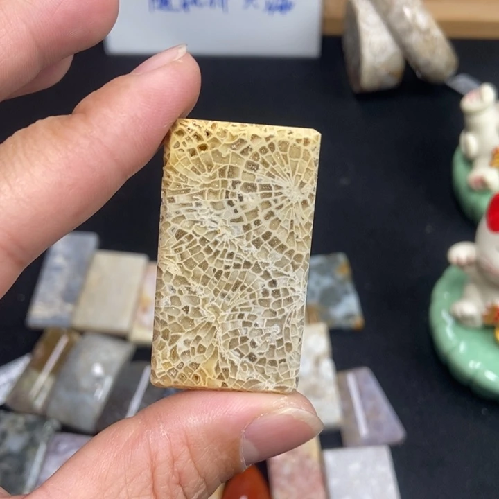 未镶嵌手链硅化珊瑚（珊瑚玉）