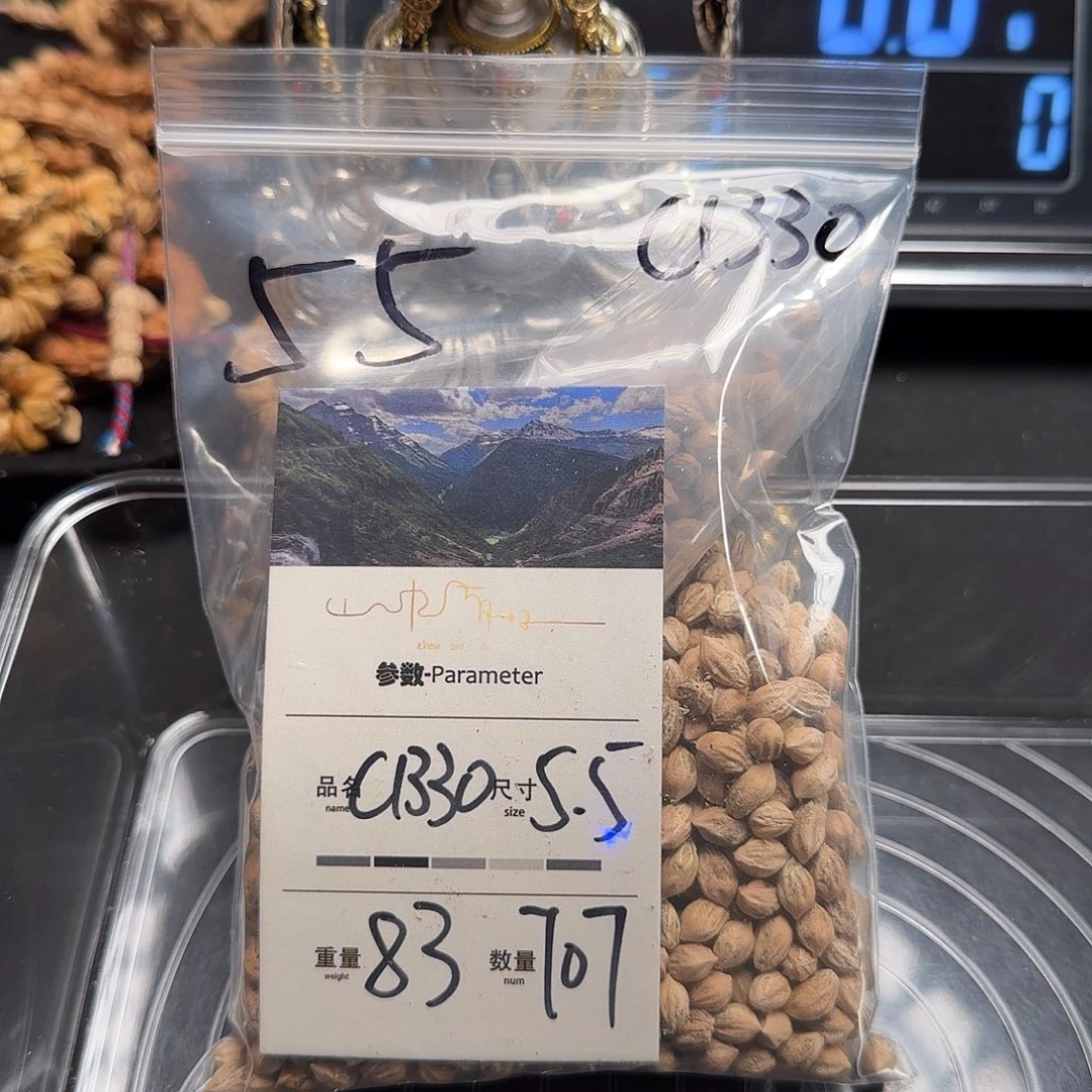 柏香籽/百香籽吊坠