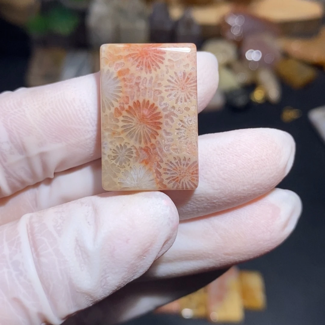 【闪购商品】硅化玉珊瑚玉未镶嵌