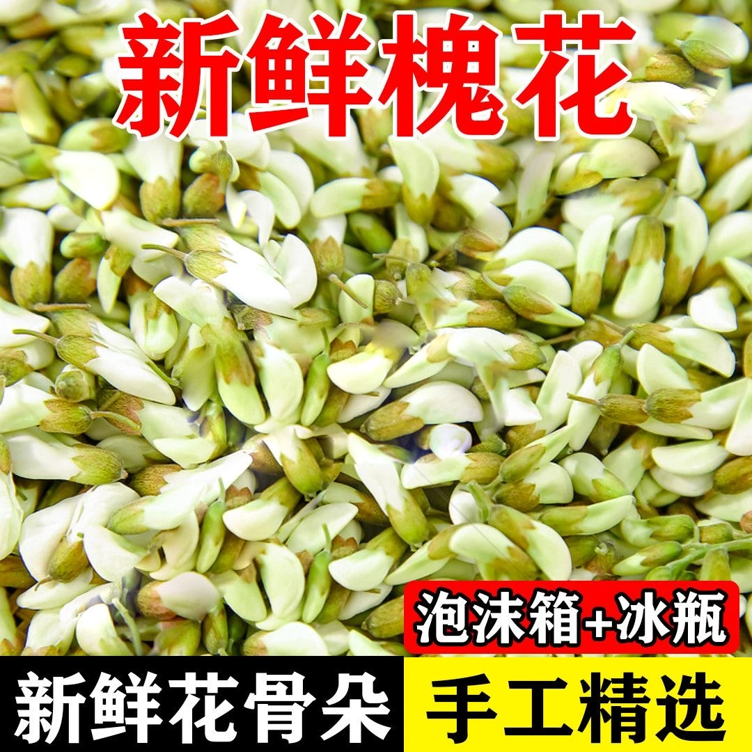 新鲜洋槐花现摘现发花骨朵【泡沫箱+冰袋发货】刺槐花 鲜槐花骨朵