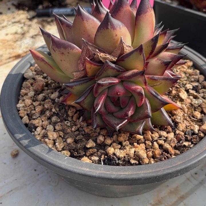 零**雨101 0000000000