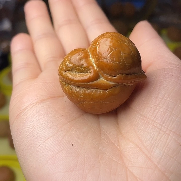 卷***儿文玩核桃吊坠小鸟