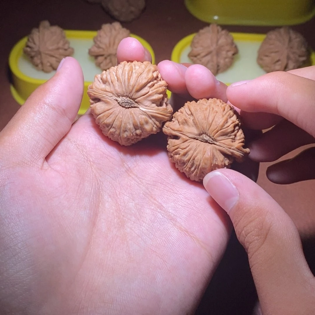 文玩核桃福利白狮子37