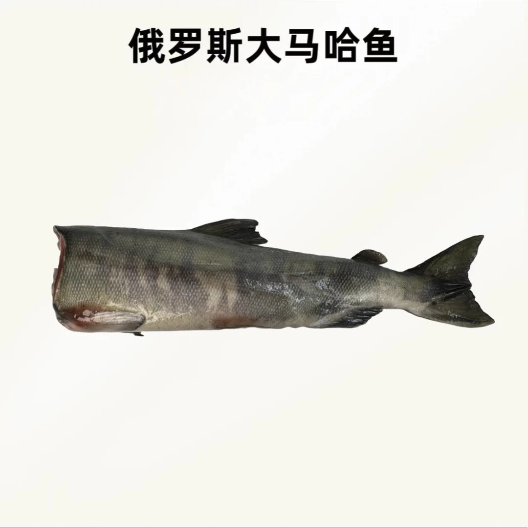 【顺丰包邮】大马哈鱼(3.5斤±)俄罗斯进口洄游鱼少鱼刺速冻冰衣