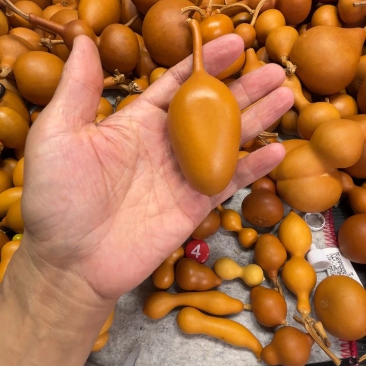 C***…这个100加点葫芦100加点葫芦C C