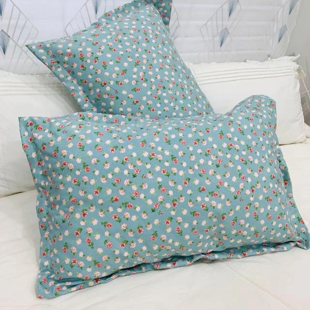 【蓝音】小辣椒加厚磨绒枕套一对装48X74  柔软亲肤速热保温