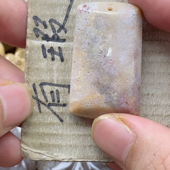 颈饰未镶嵌硅化珊瑚（珊瑚玉）L***曦小
