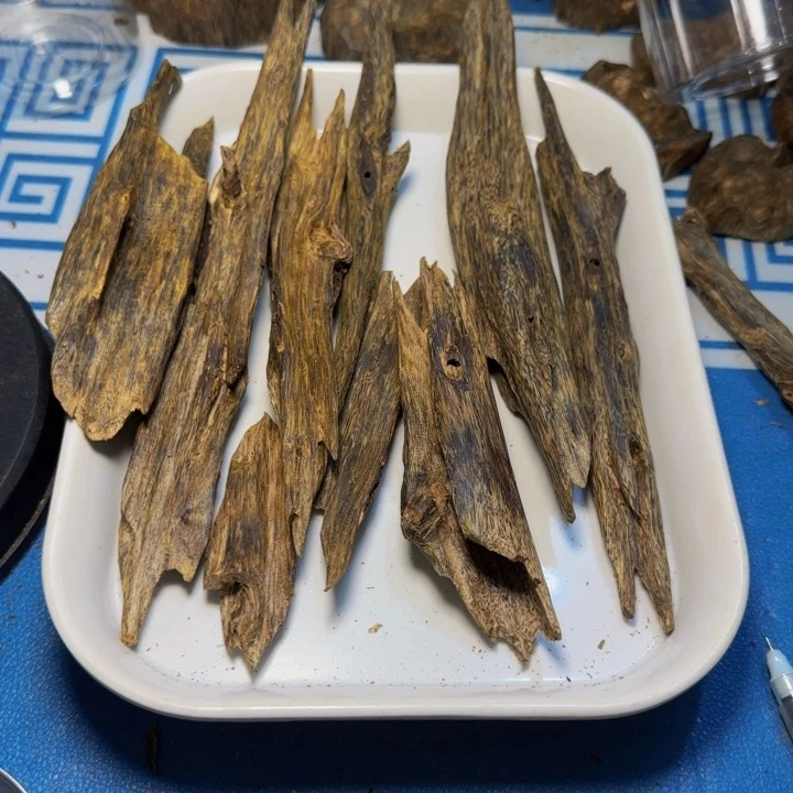 用***9木母树白奇树心油242克