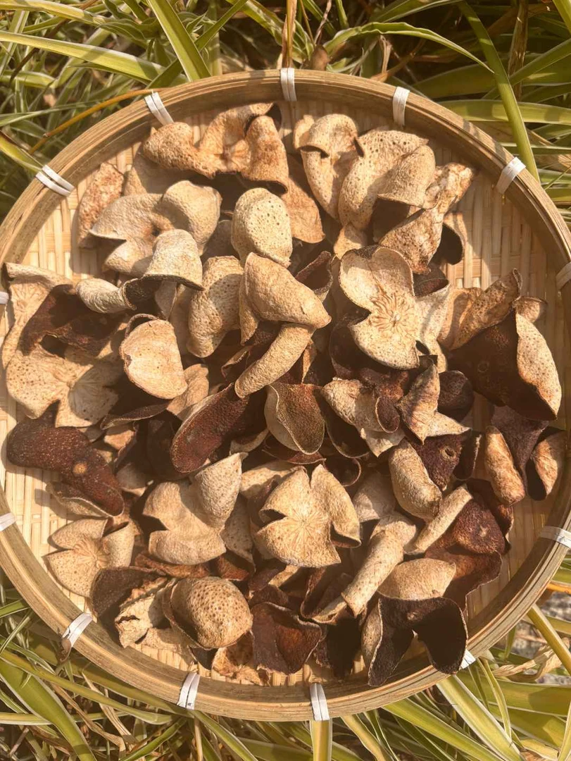 臻山味土特产   沉～皮～菇