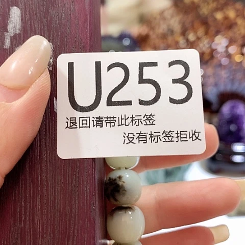 大叶紫檀（黑酸枝木类）253