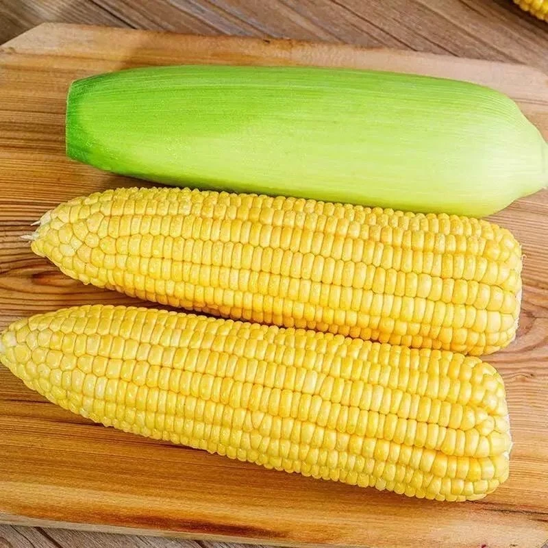 【挂榜山兄弟助农】湖南农家甜玉米新鲜上市