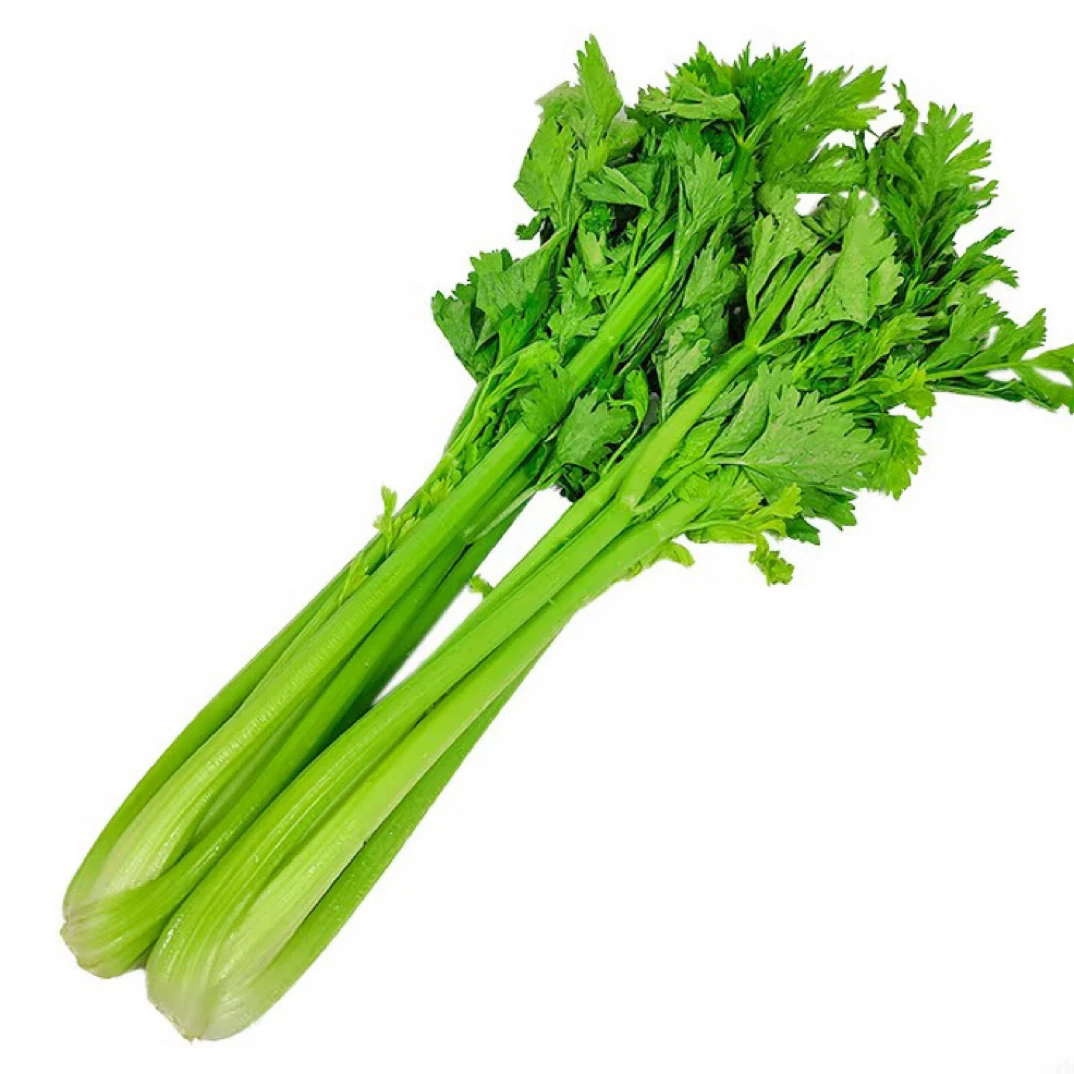 【新鲜现挖】  西芹够脆够嫩河南头茬西芹5斤