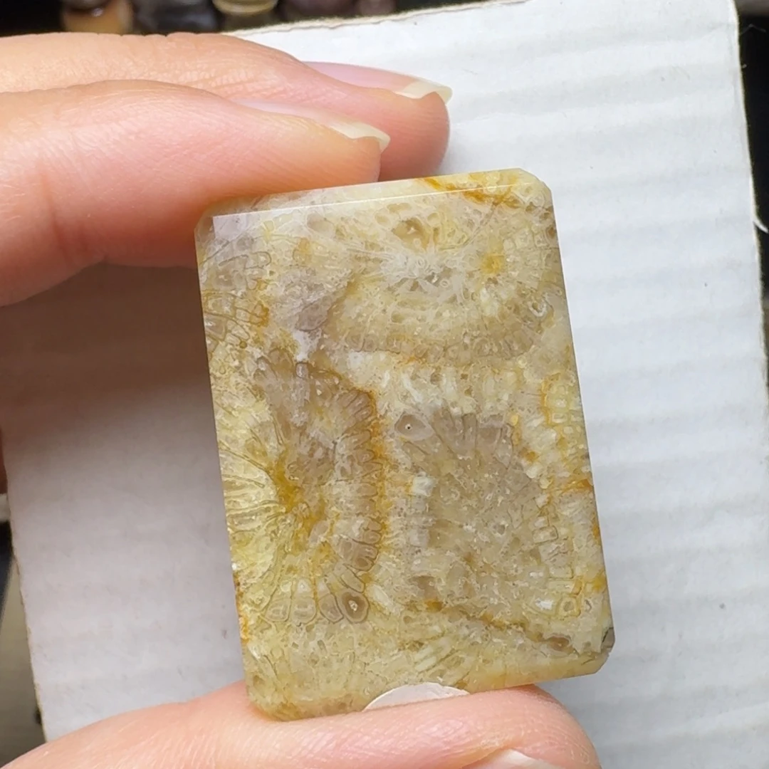 硅化玉未镶嵌稀少绿黄大花