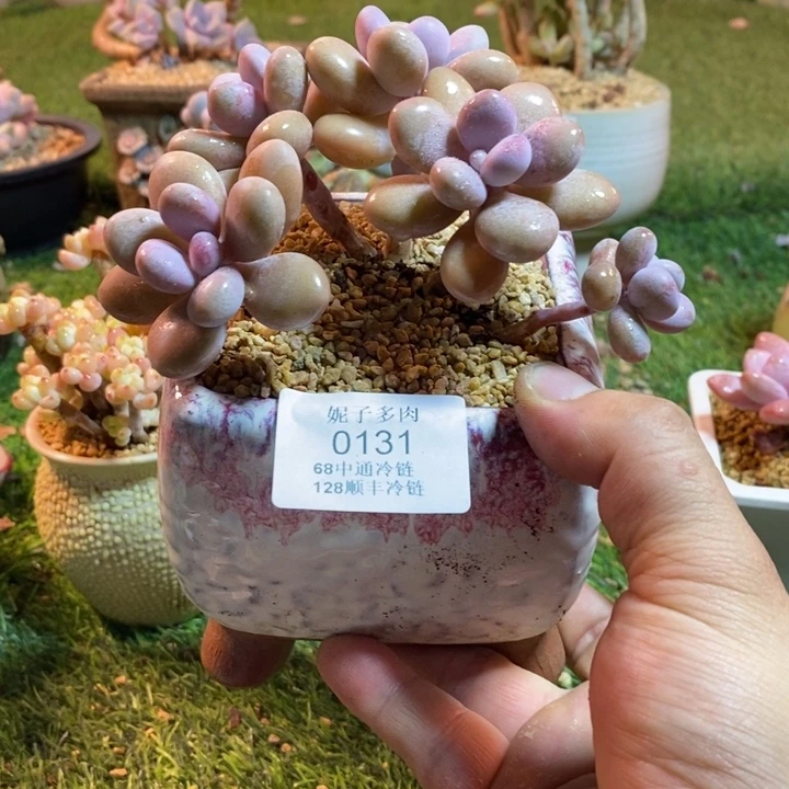 0131啊啊啊啊啊啊啊啊啊啊啊