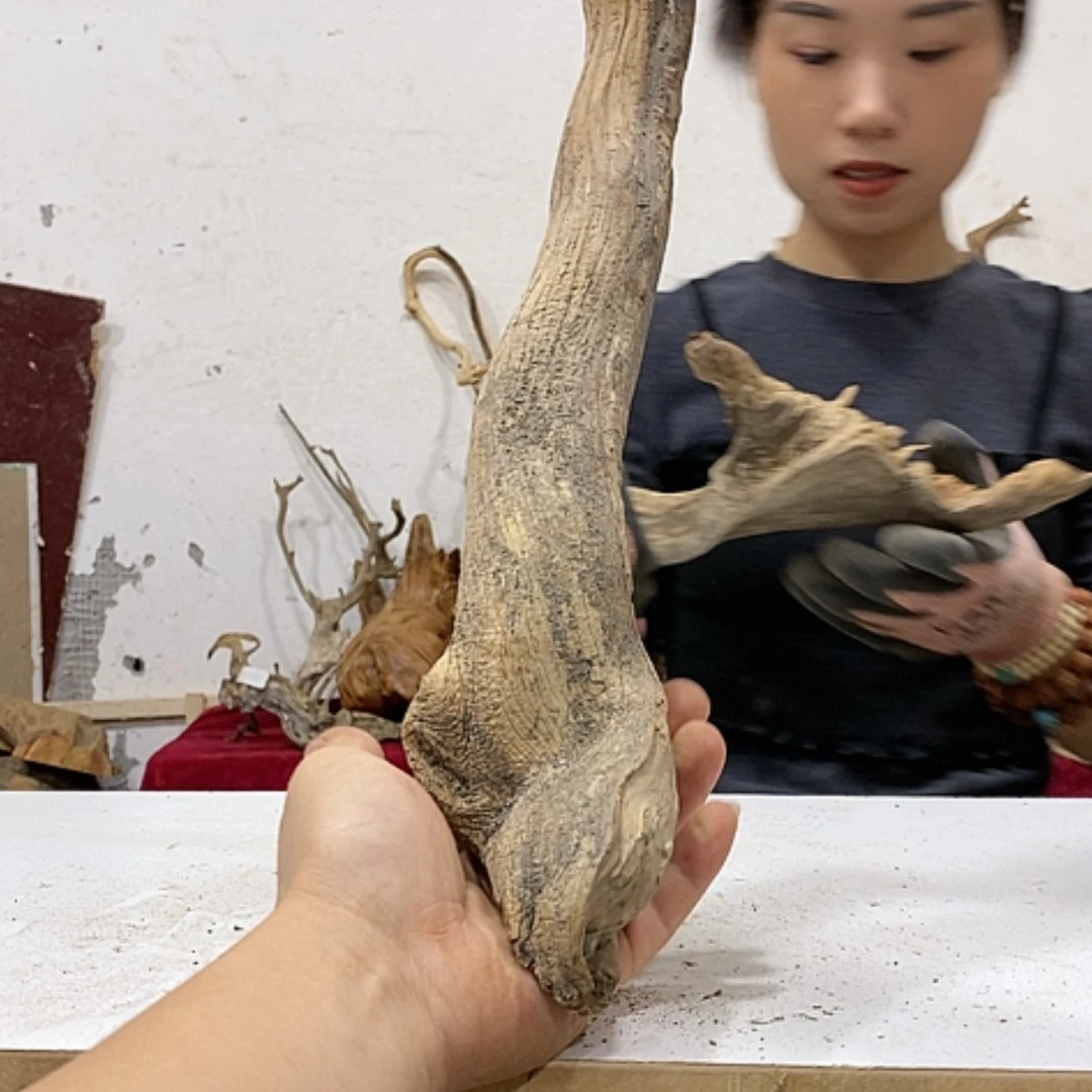 【闪购商品】柏木小*倩我们都是好孩子