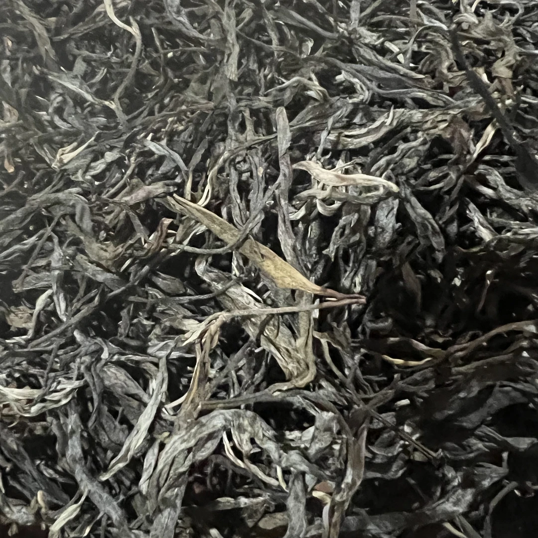 冰岛湖森林古树头春生茶1000克