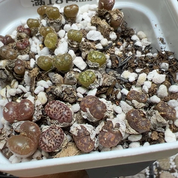 【闪购商品】 937。