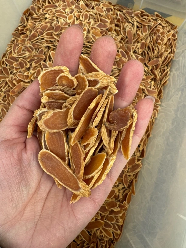 吉林长白山原产地西洋参精选参片