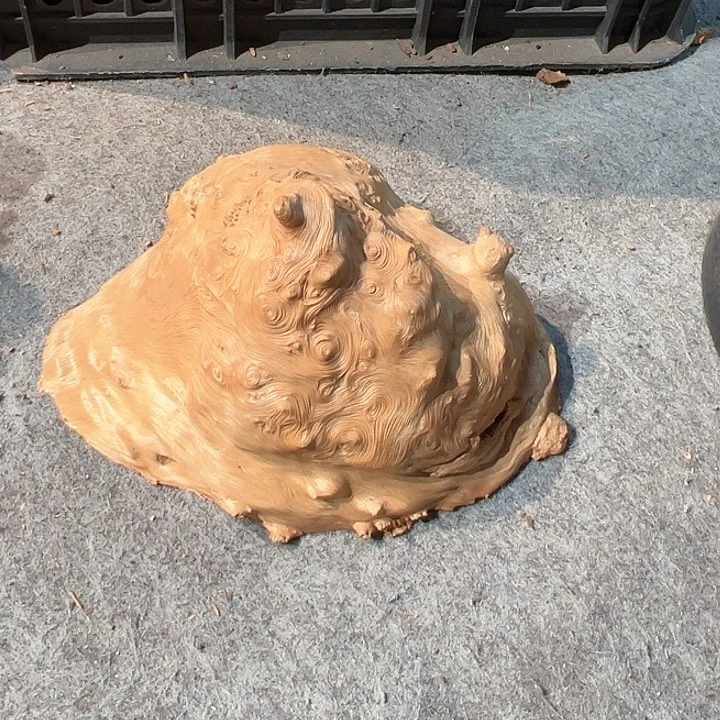 荔枝木泼*香荔枝木毛料加工随型香炉，黑檀加脚底座