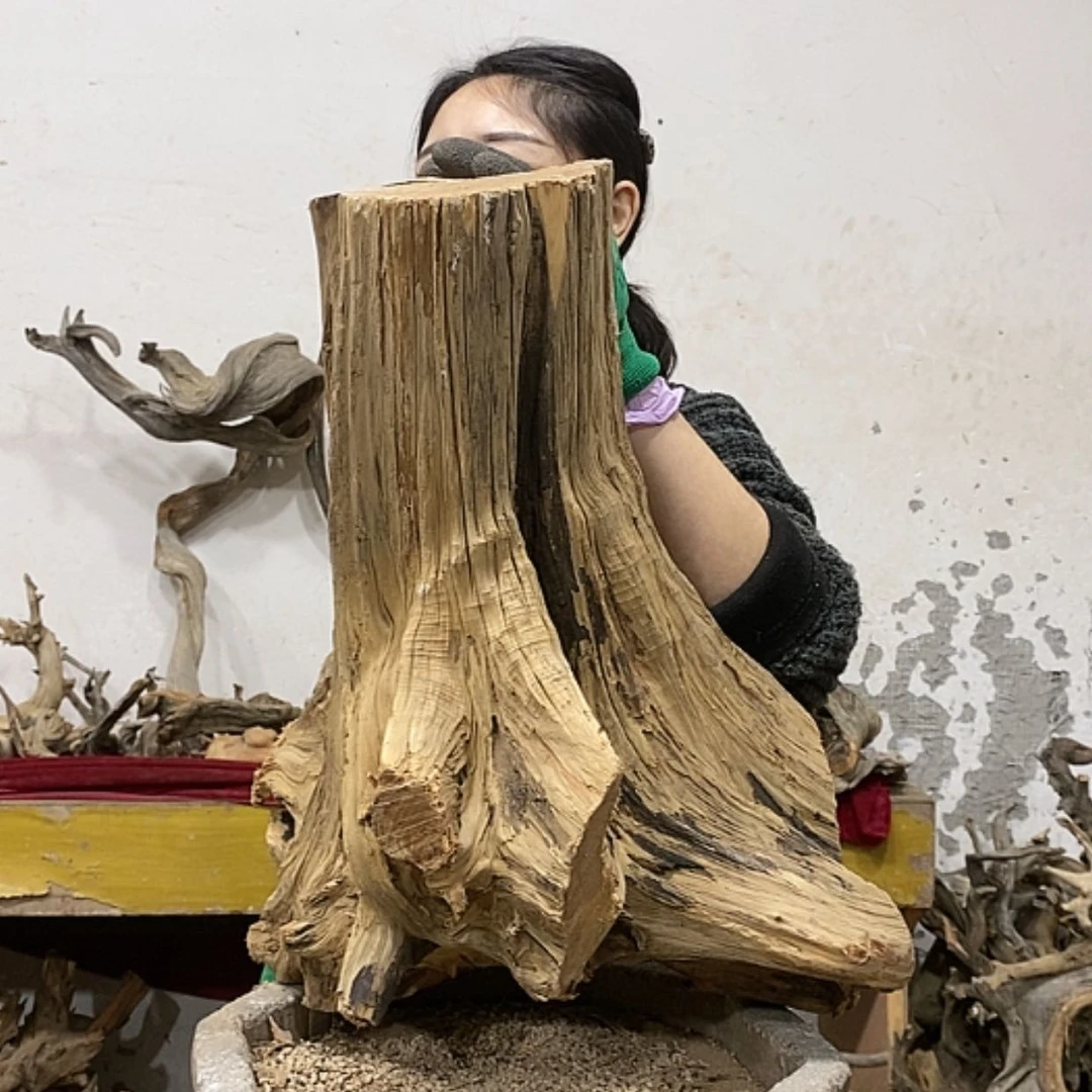 【闪购商品】柏木上****签我们都是好孩子