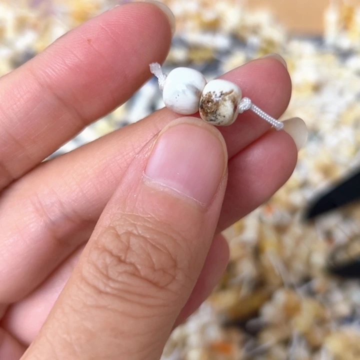 裸石蜜蜡未镶嵌7.6mm一对