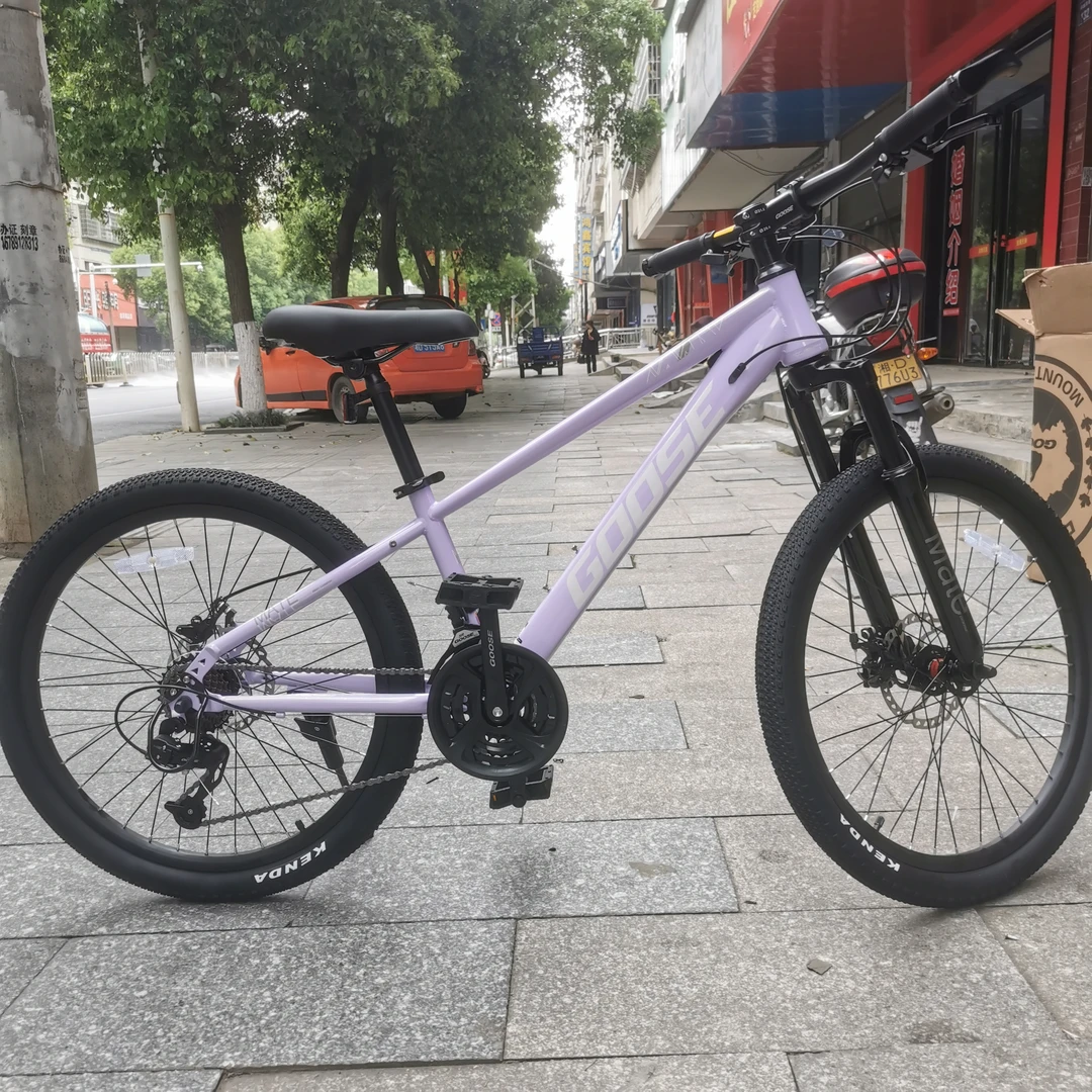 24寸大鹅goose新款学生自行车