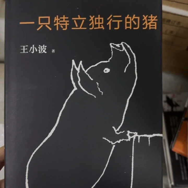 一只特立独行的猪 闪购9