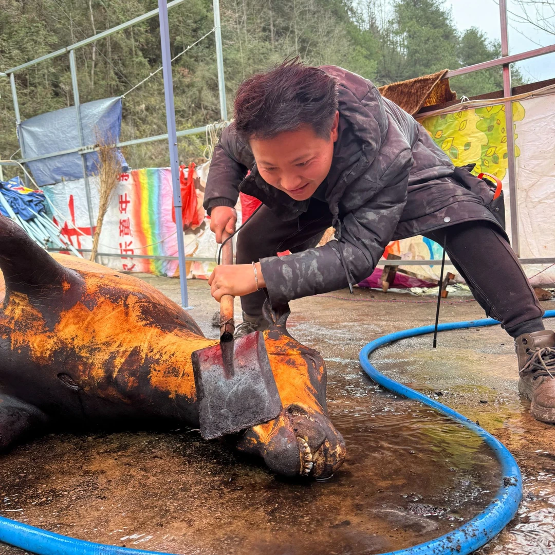 【阿龙和阿秋1】现切新鲜本地小黄牛肉正宗带皮牛腿肉里脊后腿腱子