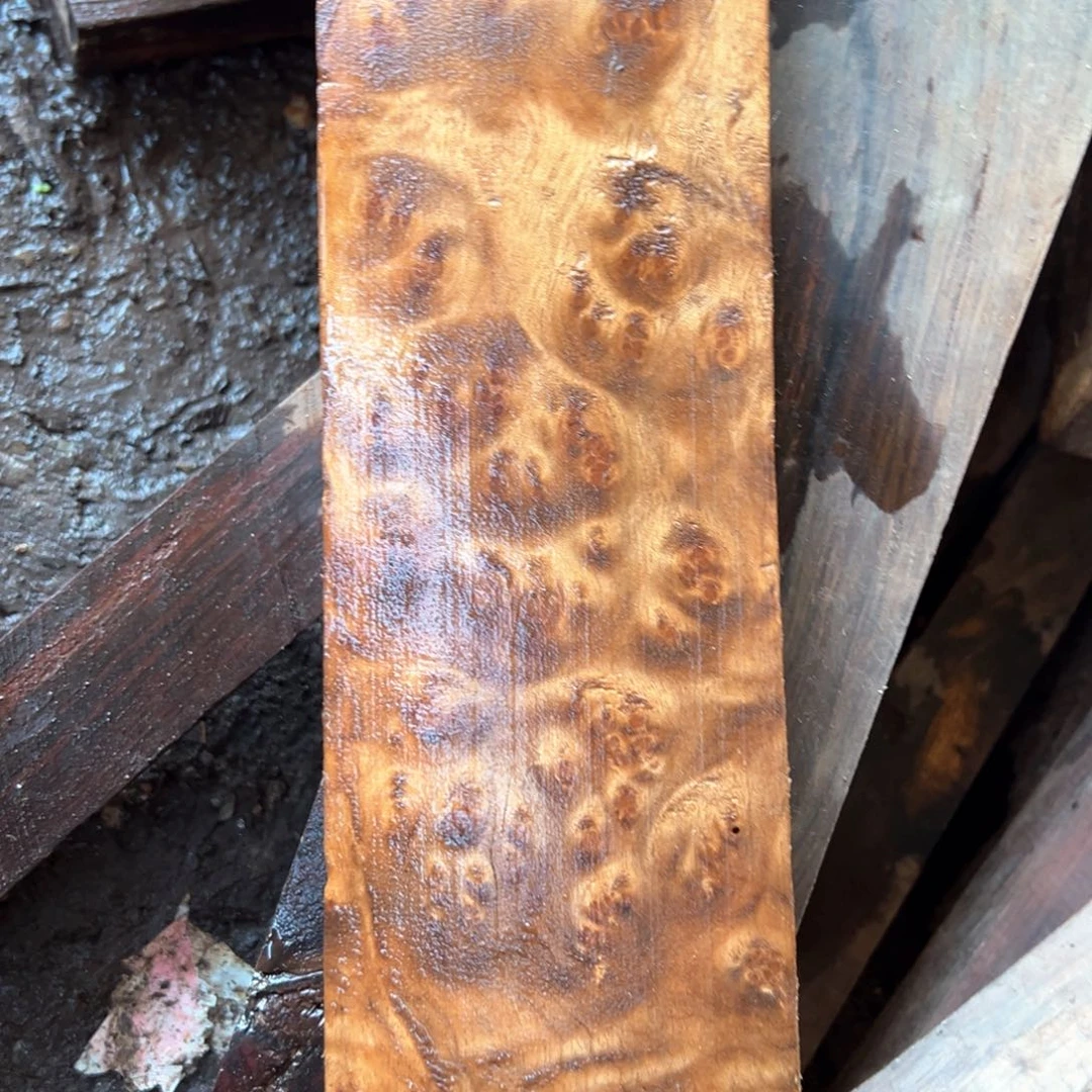 楠木麦*哥缅甸黄金樟木料