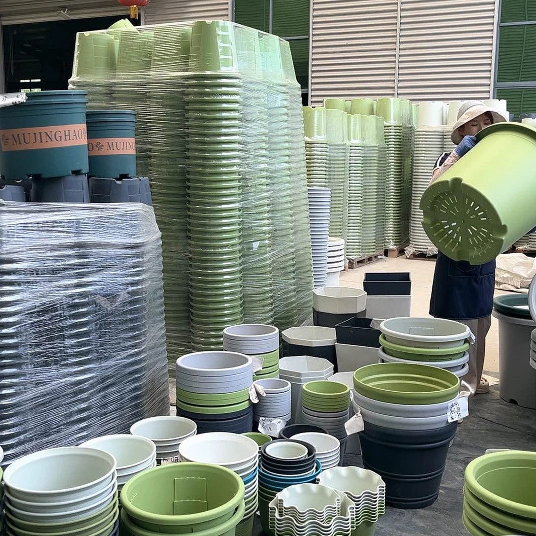 四季盆12#果绿色2个无托