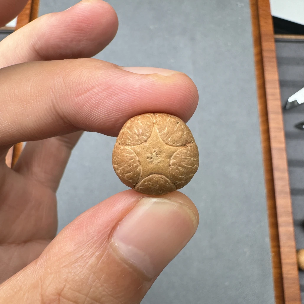 精品16+五星上将菩提凤眼菩提三通佛头，非质量问题开孔不退