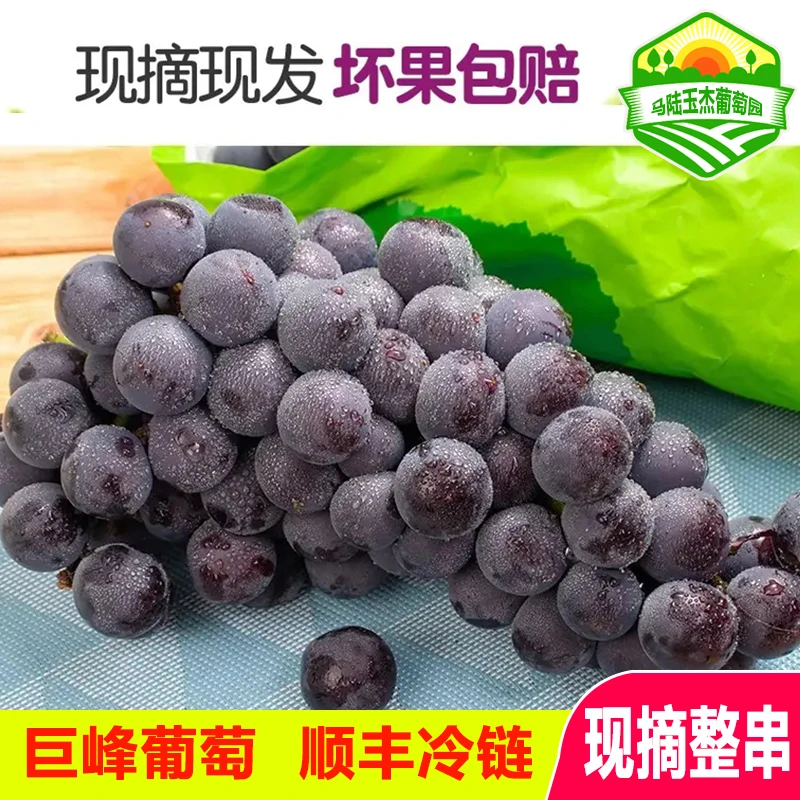顺丰包邮上海马陆葡萄当季新鲜水果上市巨峰葡萄奶油葡萄