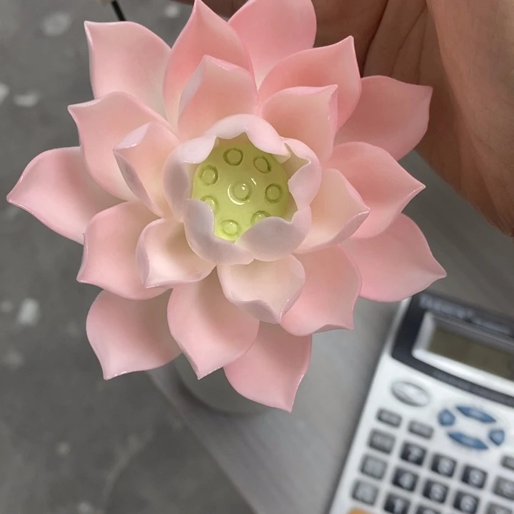 陶瓷陶瓷材料2朵粉