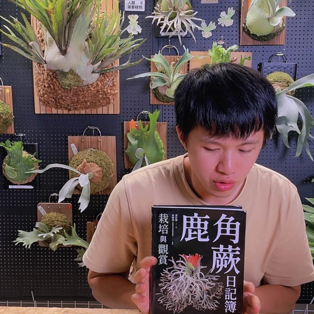 【闪购商品】完全开放鹿角蕨日记簿