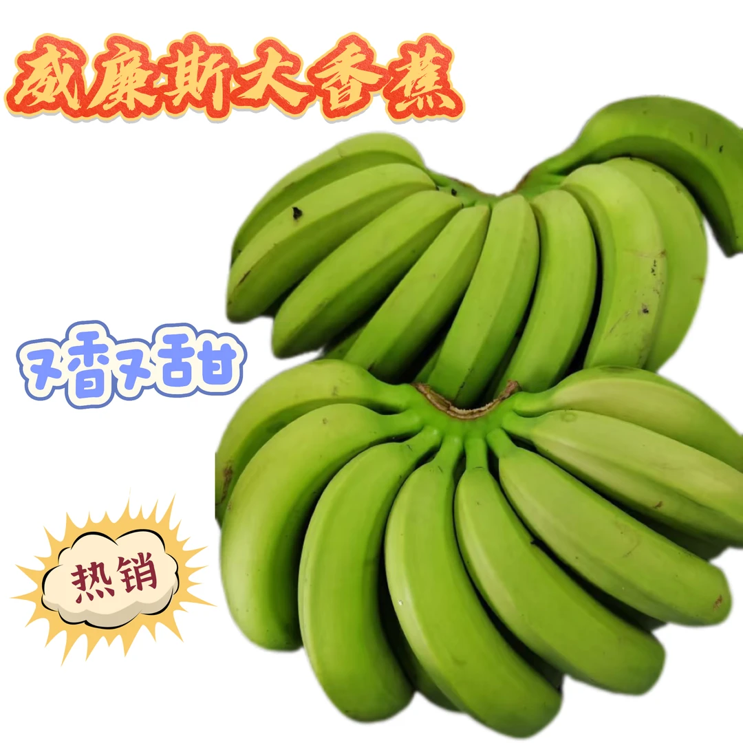 广西南宁香蕉之乡甜香蕉青皮发货9斤5斤3斤