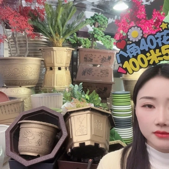 复合梅花30盆6个有孔