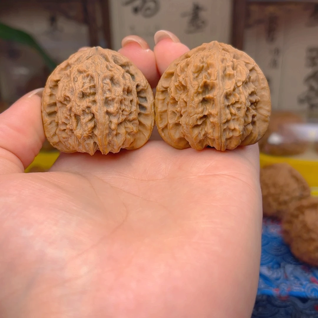 态***度白狮子头四十尺的