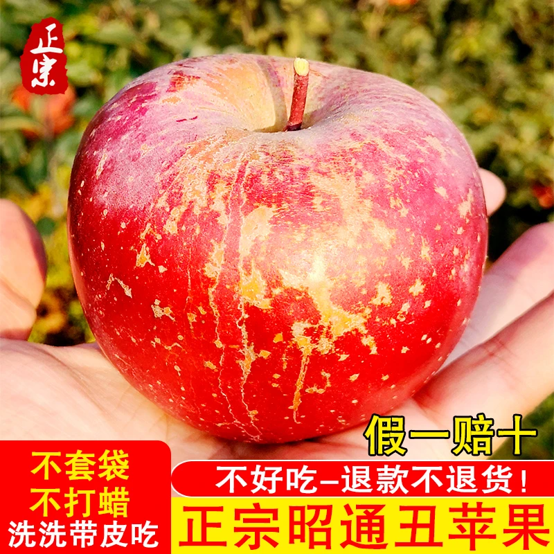 2025正宗云南昭通丑苹果冰糖心苹果新鲜水果当季现摘脆甜高原苹果