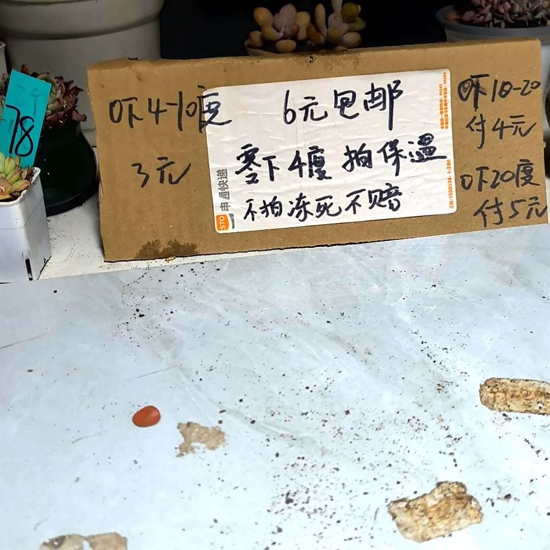 满6元包邮，五十灵域八角盆